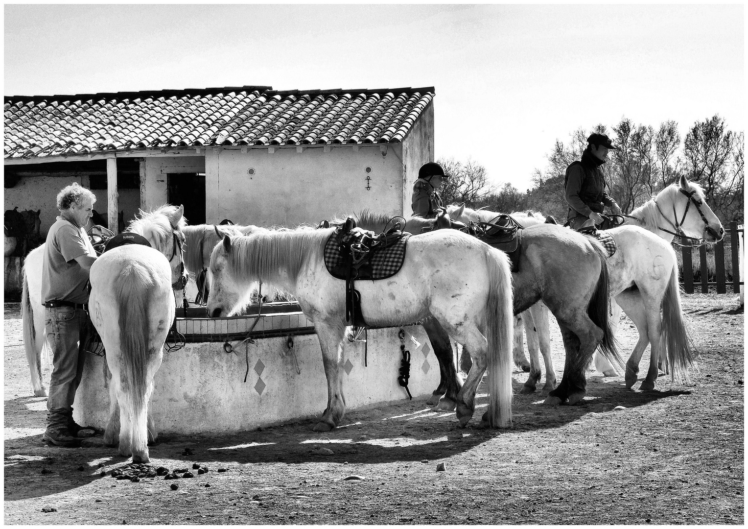 L'abreuvoir