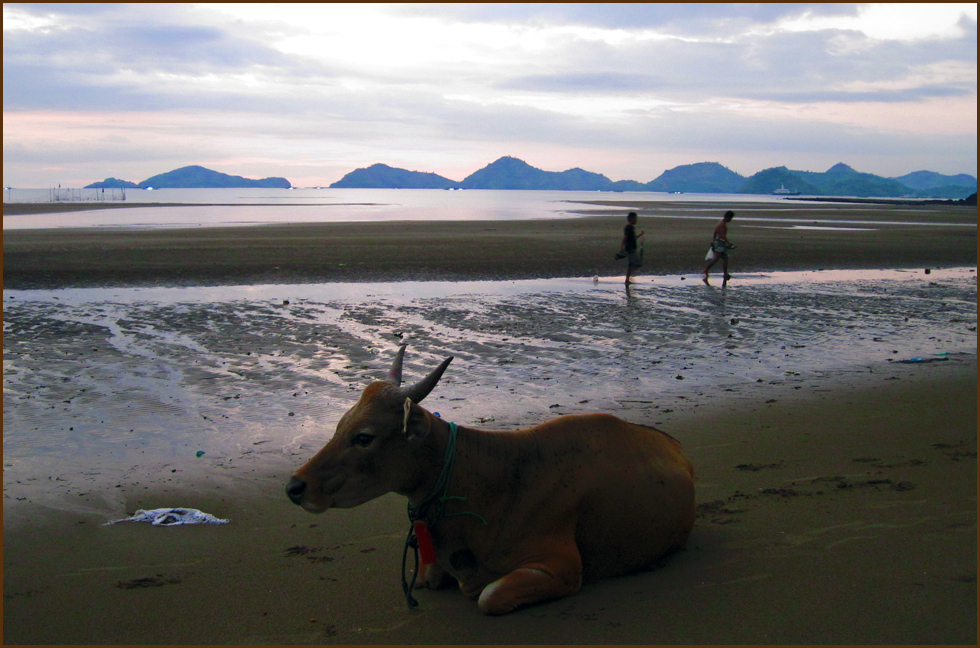 Labuanbajo-Flores am Meer