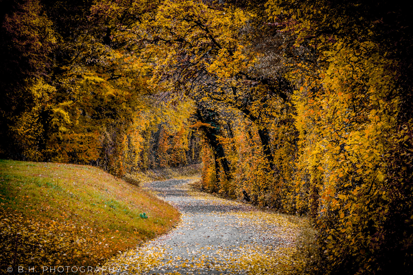 Labyrint des Herbstes 