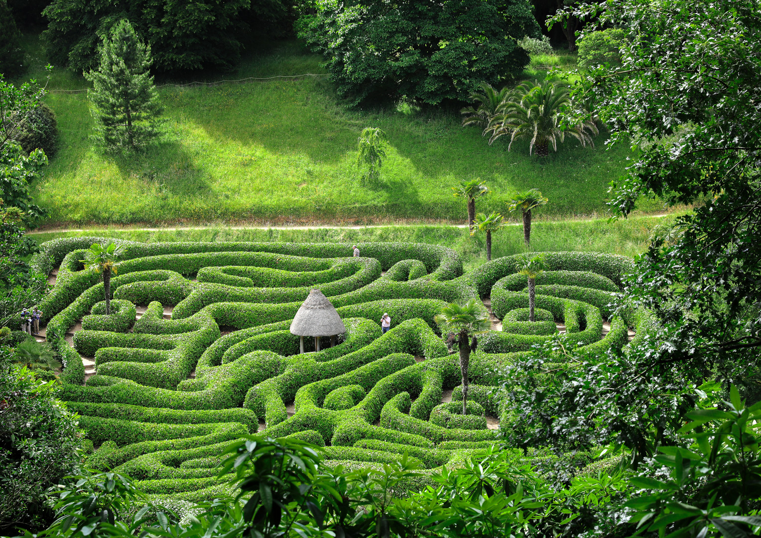 Labyrinth in Grün