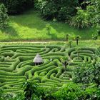 Labyrinth in Grün