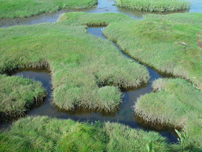 Labyrinth zwischen Wasser und Land