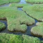 Labyrinth zwischen Wasser und Land