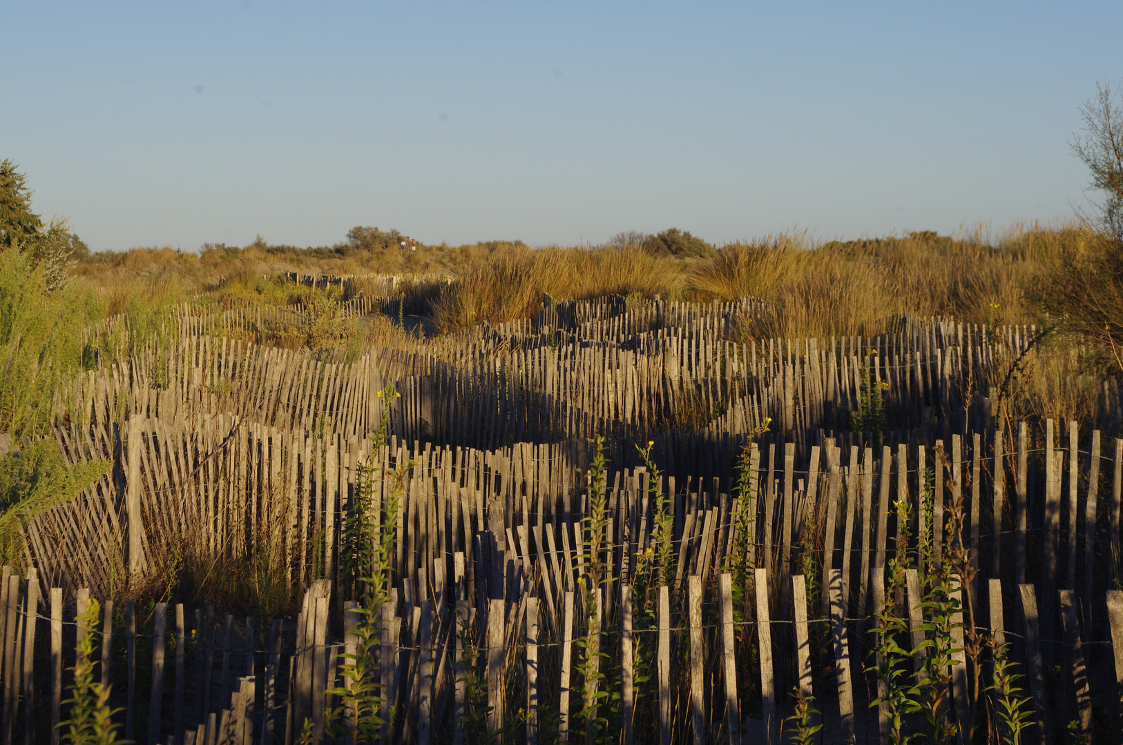 Labyrinthe