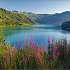 lac artificiel de roselend