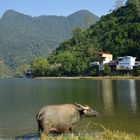 Lac Ba Be / Vietnam 