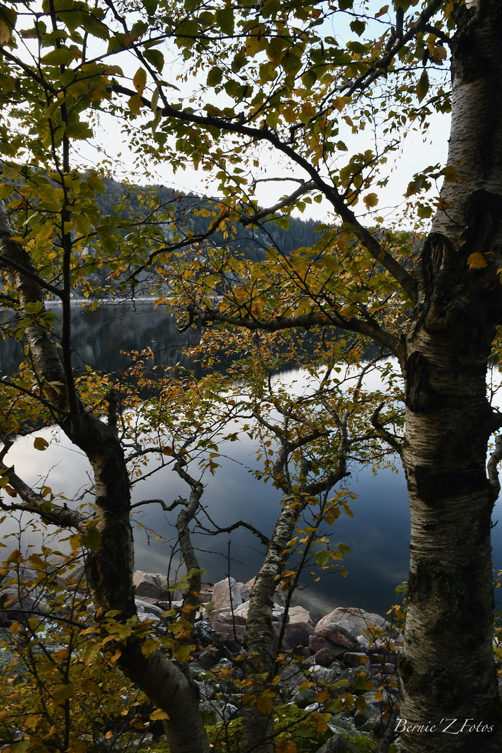 Lac Blanc à travers feuillage d'automne