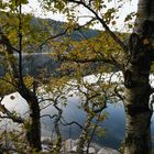 Lac Blanc à travers feuillage d'automne