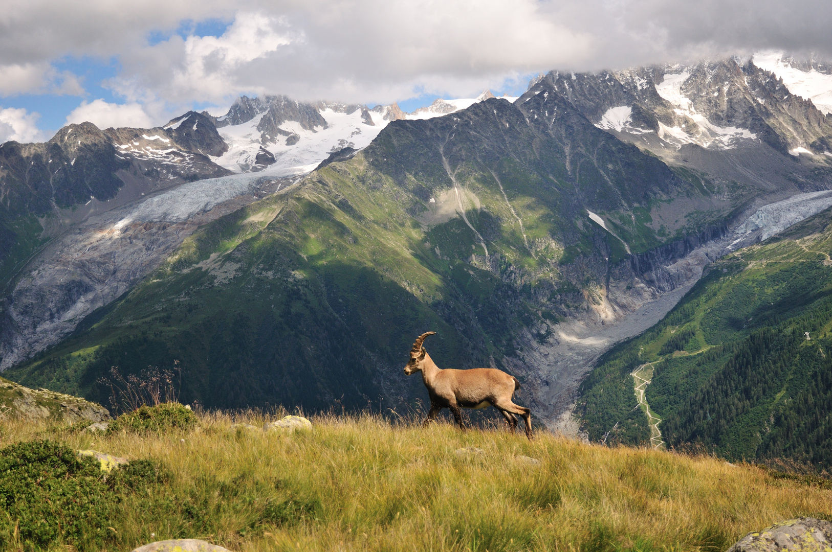 Lac Blanc