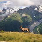 Lac Blanc