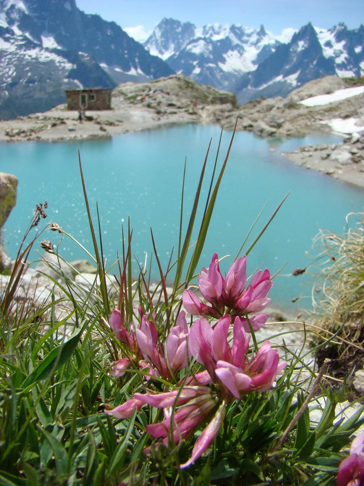 lac blanc.Chamonix