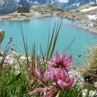 lac blanc.Chamonix