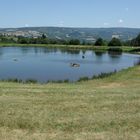 Lac d'albine