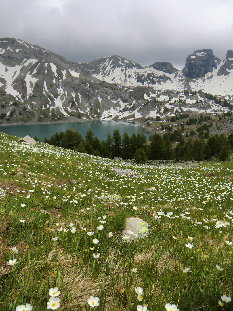 lac d'Allos