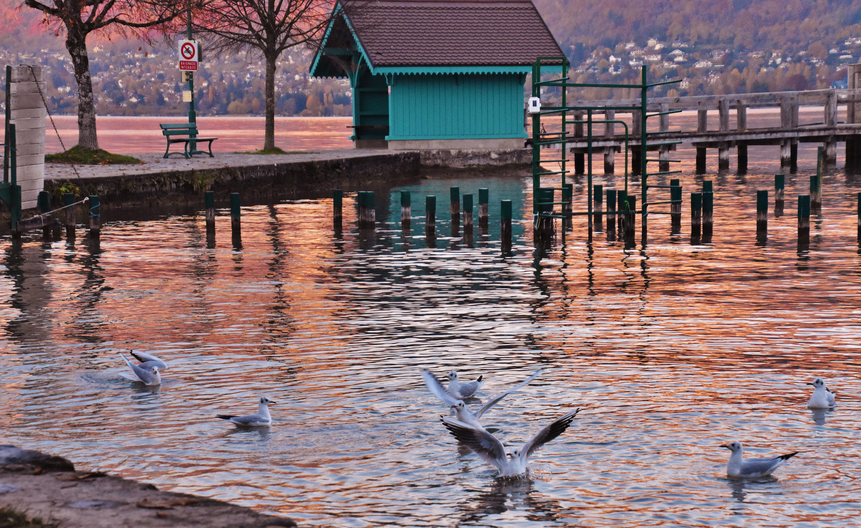 Lac d'Annecy.