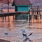 Lac d'Annecy.