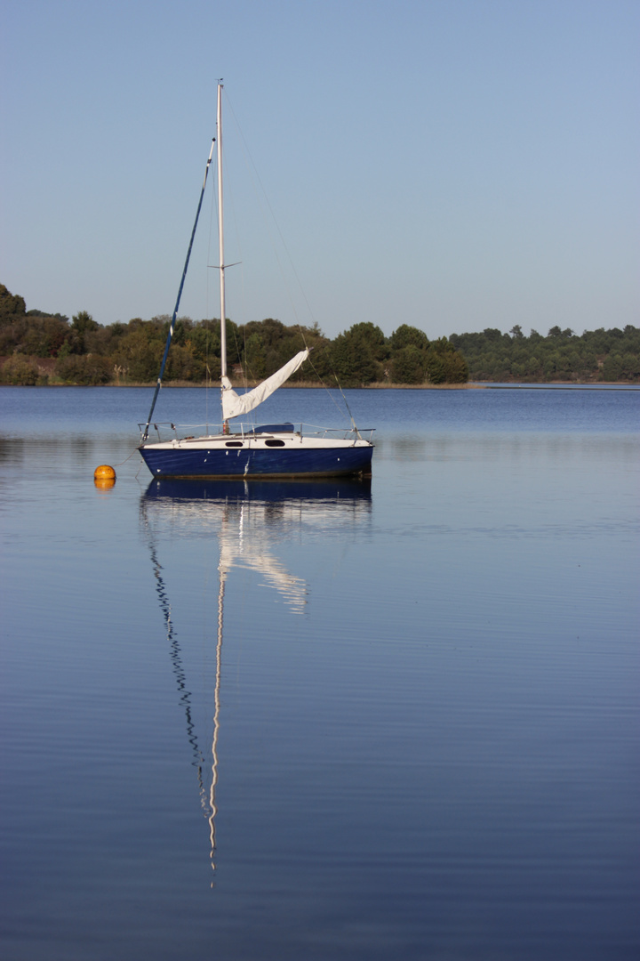 lac d'Arjusanx (landes)