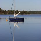 lac d'Arjusanx (landes)