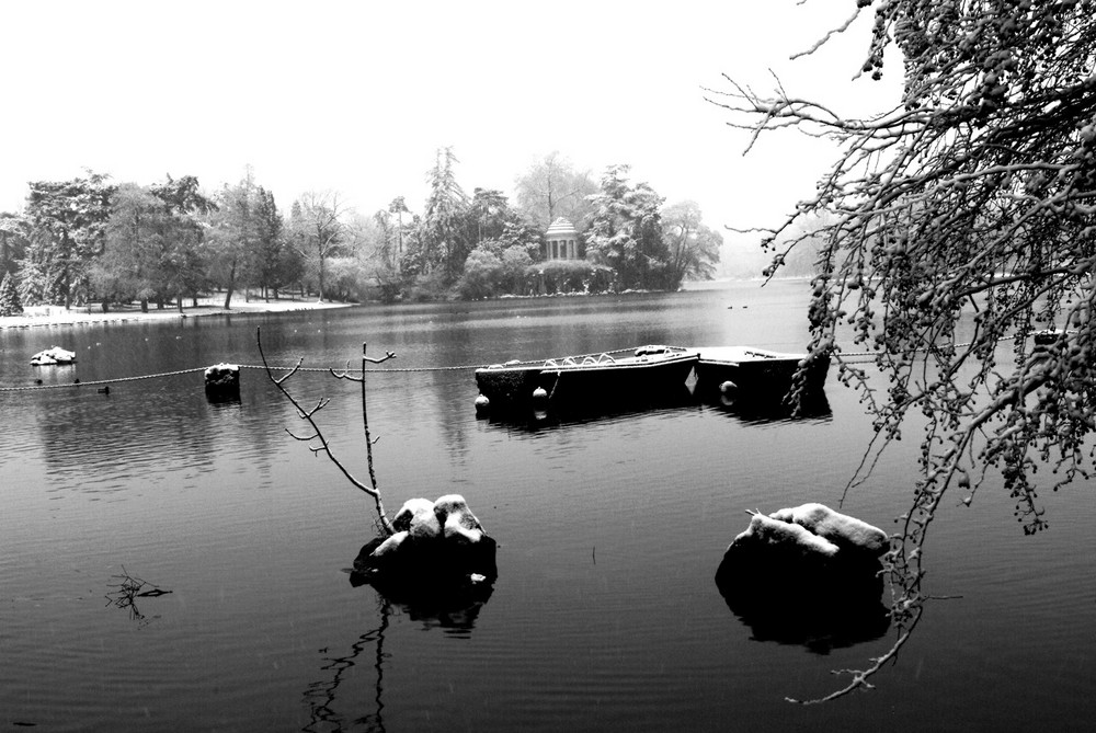 Lac Daumesnil sous la neige - FABRICE FRANQUEZA