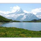 Lac de belchapsee & sommet de la Jungfrau