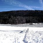 LAC DE BESAIN EN HIVER (jura)