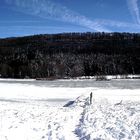 LAC DE BESAIN EN HIVER (jura)