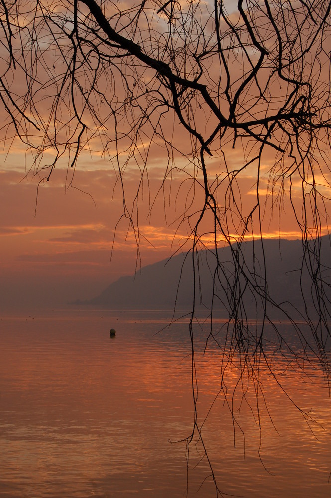 Lac de Bienne