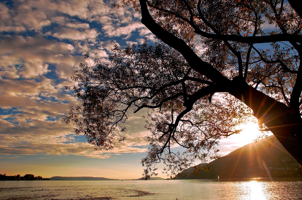 Lac de Bienne