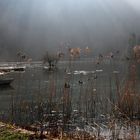 lac de Biofond (Suisse)