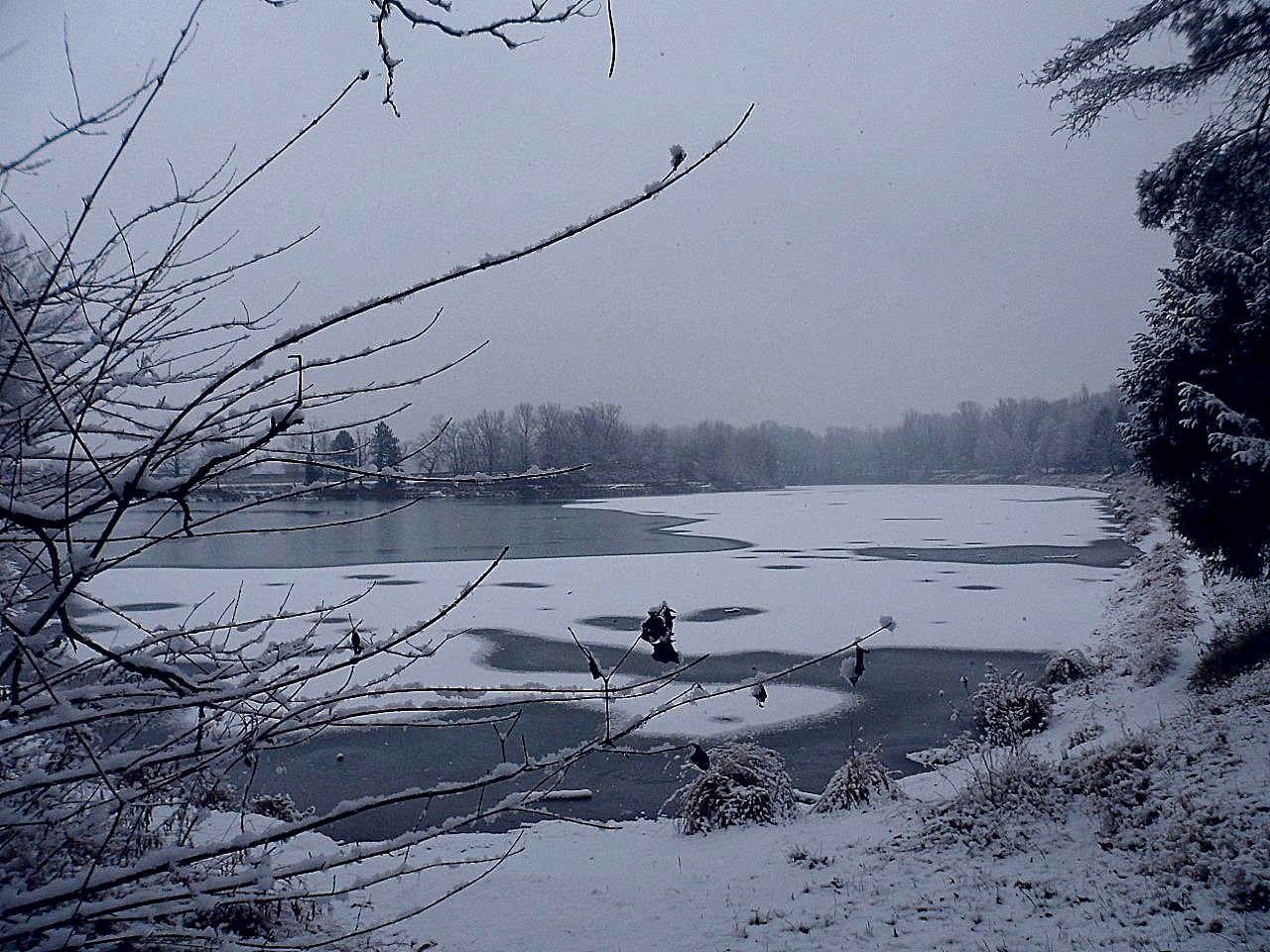 Lac de Bois Gramond (38)