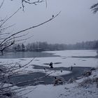 Lac de Bois Gramond (38)