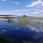 lac de carcans -hourtins