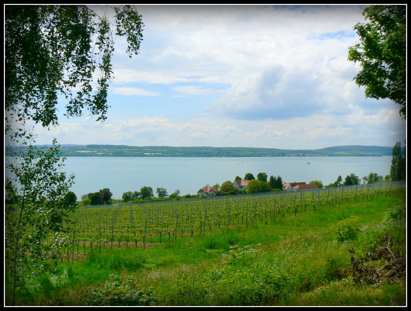 LAC - DE - CONSTANCE - 1 -