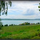 LAC - DE - CONSTANCE - 1 -