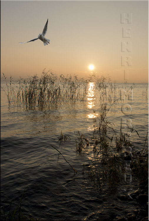 lac de constance