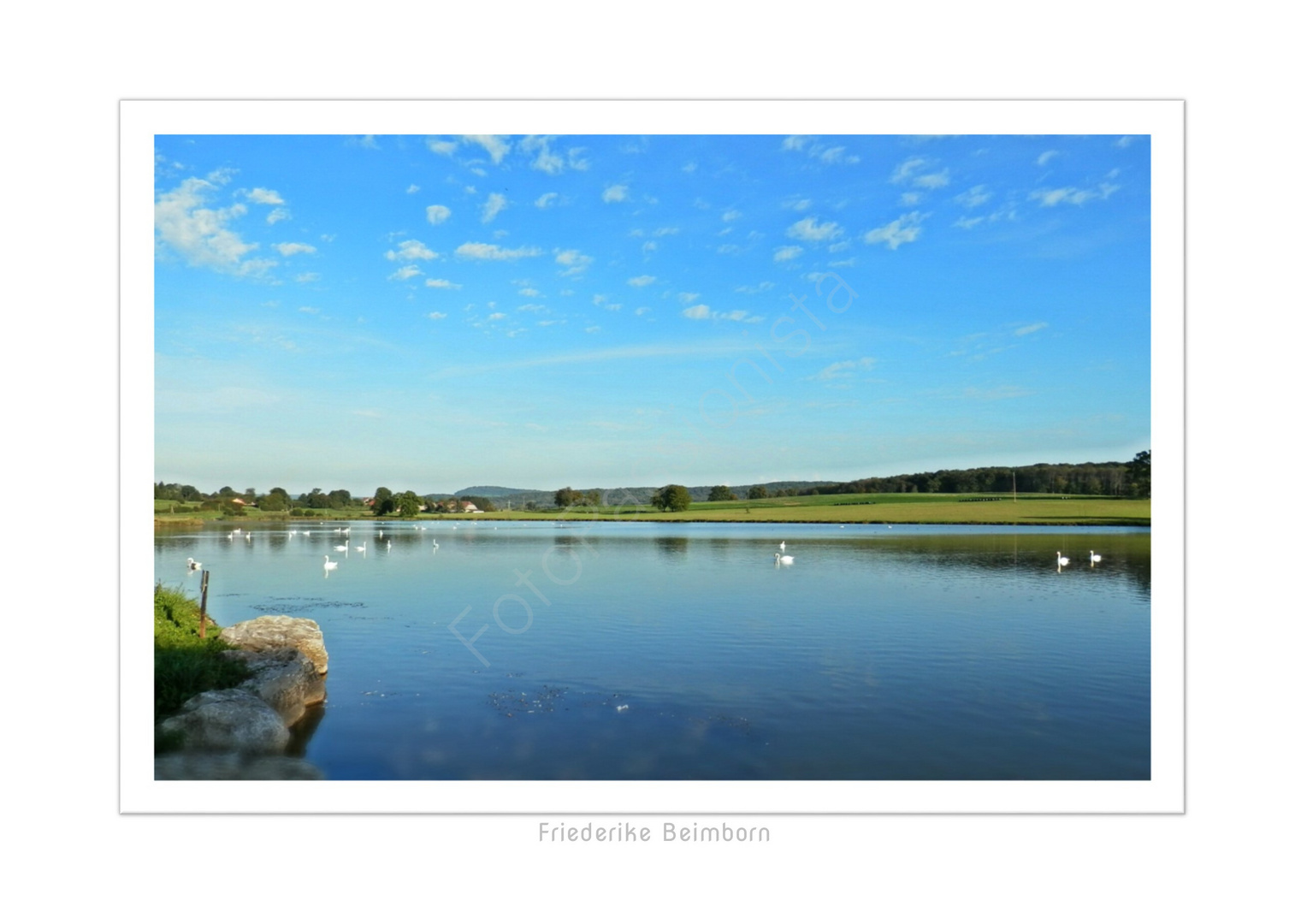 Lac de Cygnes