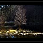 Lac de Fischboedle