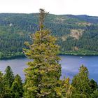 Lac de Gérardmer