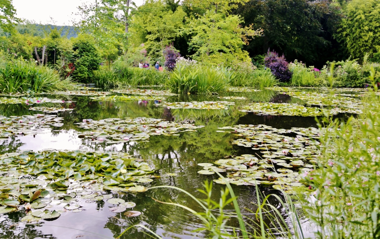 Lac de Giverny