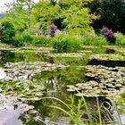 Lac de Giverny