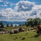 Lac de Joux