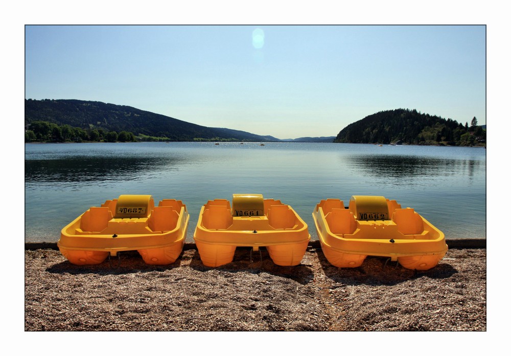 Lac de Joux ... in yellow