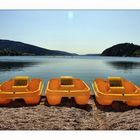 Lac de Joux ... in yellow