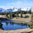 Lac de la Grande Léchère