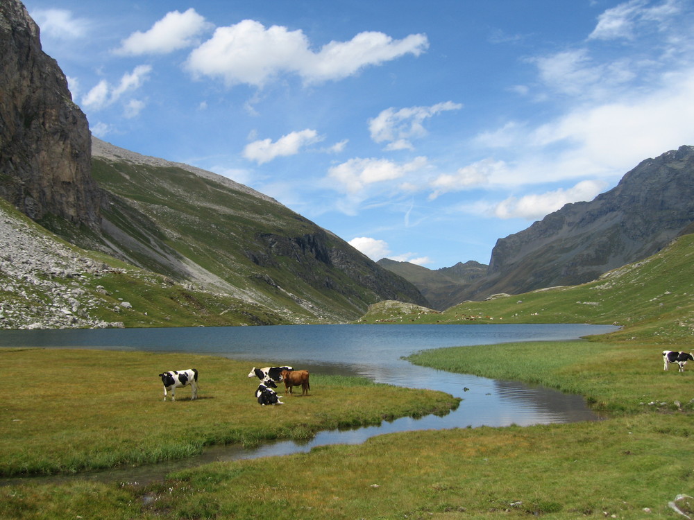 Lac de la Plagne - 2144 m d'Alt. (Savoie)