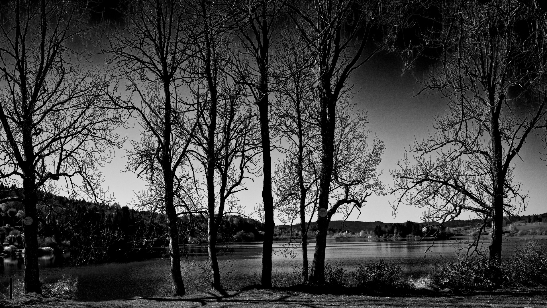 Lac de l'Abbaye