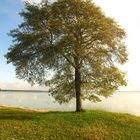 Lac de lacanau (gironde)