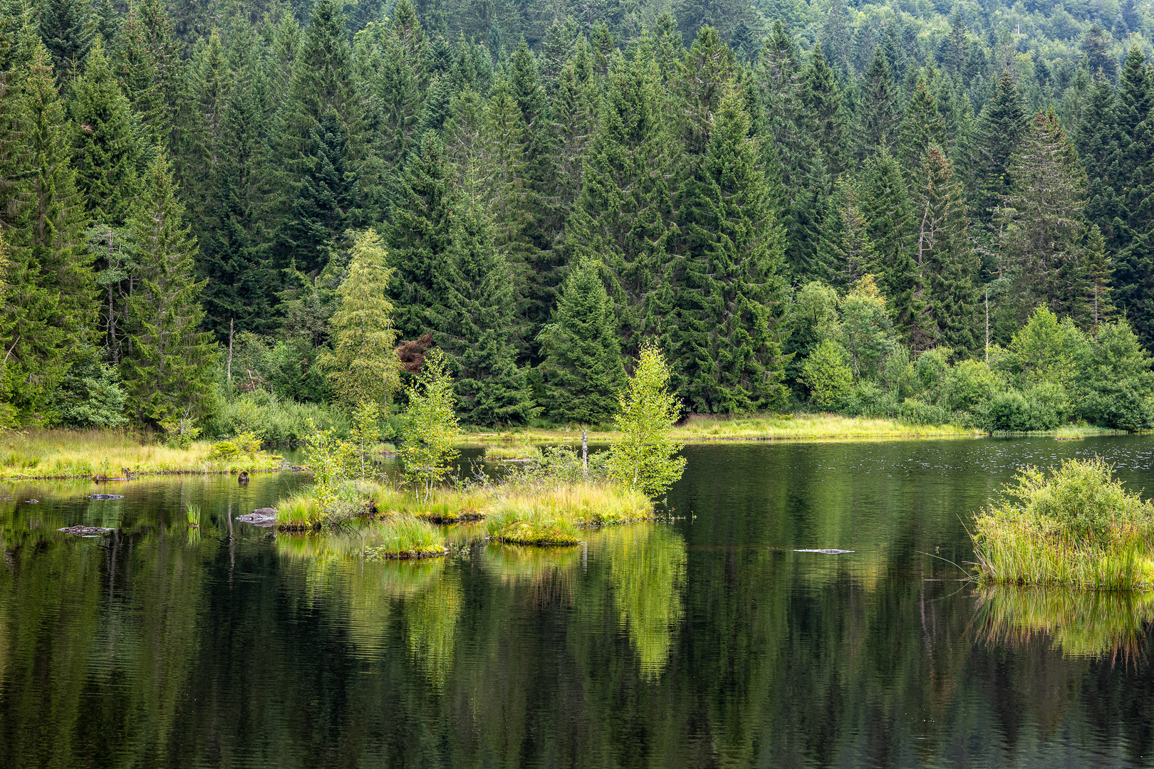 Lac de Lisbach