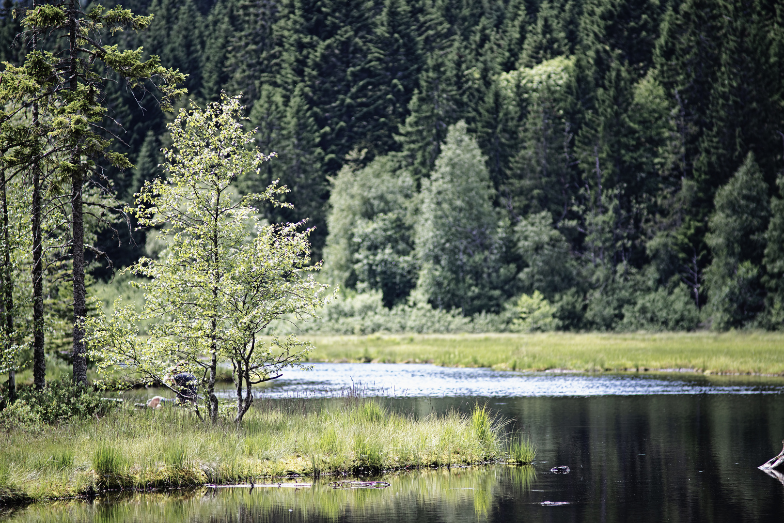 Lac de Lispach