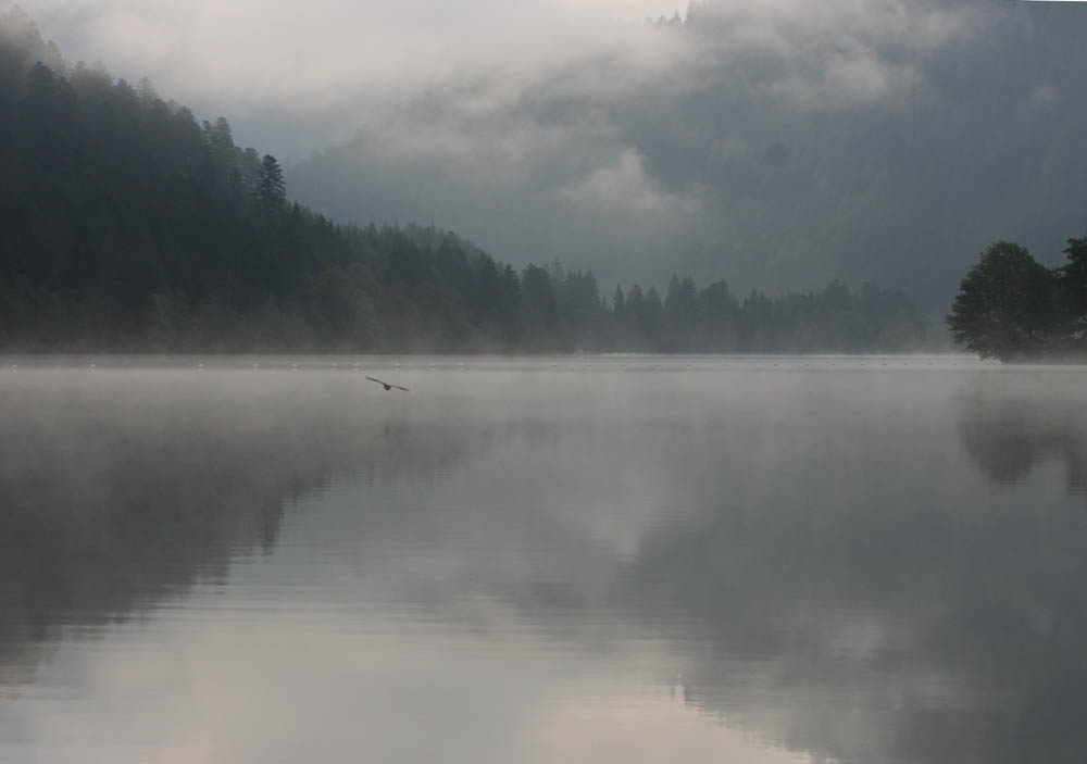 Lac de Longemer 2